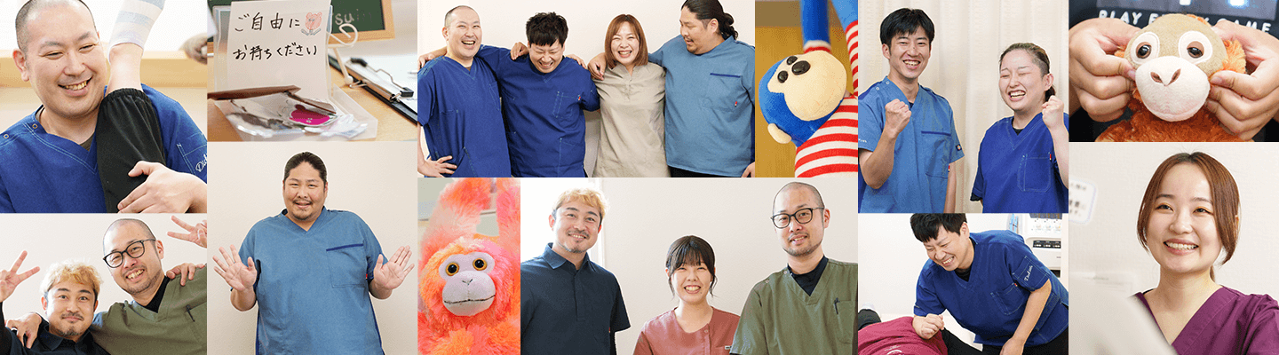 メディセラの愉快なオフショット